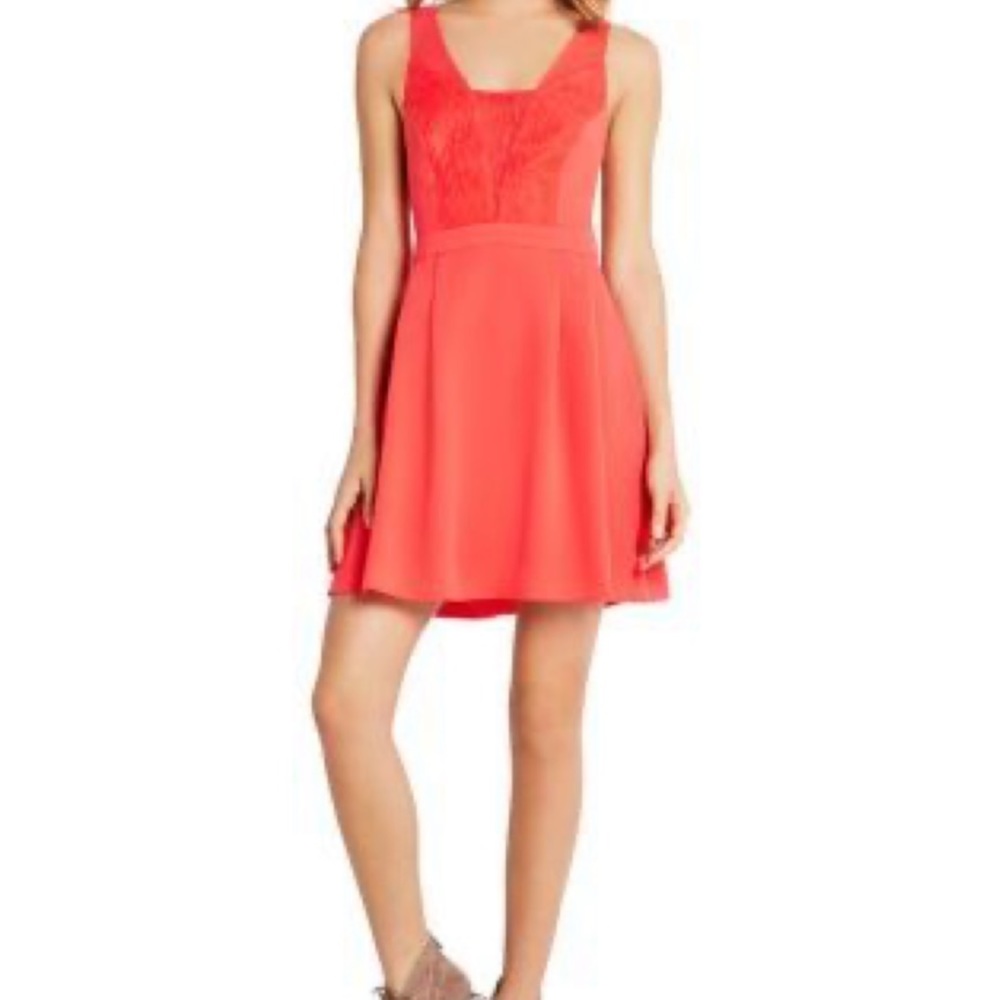 BCBG Lace Insert Fit Flare Dress